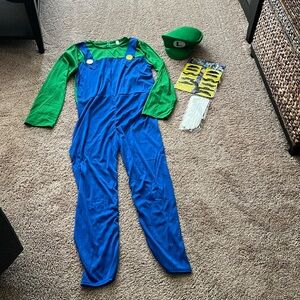 Adult Luigi Costume